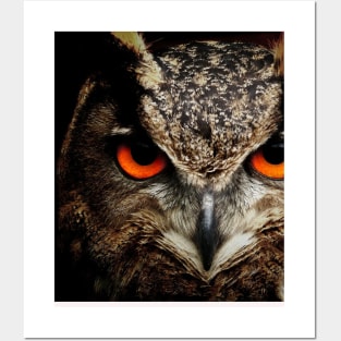 owl mask Posters and Art